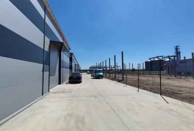 Hala 600mp in Stefanestii de Jos - 17