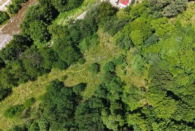 Spațiu comercial, în Central - 2