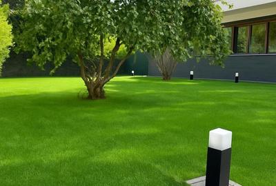 S1 Pădurea Baneasa Apartament Duplex în Vilă  Renovat Metro M6 Stația Bruxelles S1 Pădurea Baneasa Apartament Duplex în Vilă  Renovat Metro M6 Stația Bruxelles - 2