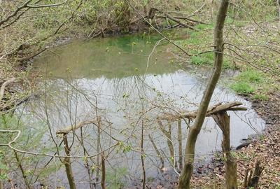 Spațiu comercial, în Sânpetru - 2