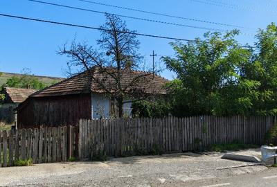 Casa - Buimaceni, com. Albe?ti, jud. Botosani - 1