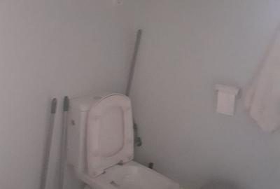 Spațiu comercial, de 66 mp, în Coșbuc - 13