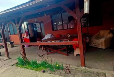 Casă individuală cu 4 camere cu Teren 1200 Mp în Vladimirescu - 3