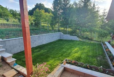 Teren cu AUTORIZATIE constructie casa plus CABANA LIVEZENI, 1824 MP - 2