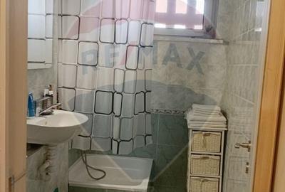 Apartament cu 2 camere semidecomandat, mobilat în Brazda lui Novac - 6