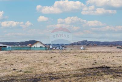 Teren Construcții intravilan de 500 mp, în Hărman - 11