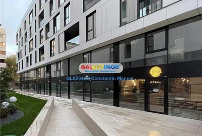 Apartament cu 2 camere decomandat, mobilat în Herăstrău