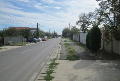 Domnesti Ciutaci-Zorelelor - 12