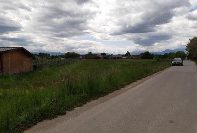Teren de 5000 mp, în Lunca Calnicului - 7