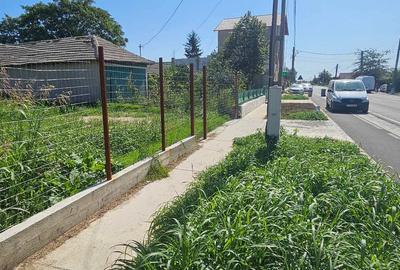 Teren de vânzare în Corbu, ideal pentru investiții sau dezvoltare afaceri! - 7