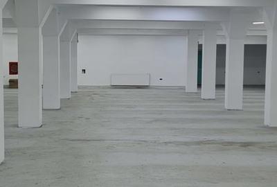 Spațiu comercial, de 600 mp, în Bascov - 5