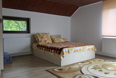 Casă individuală cu 7 camere cu Garaj în Telega - 47