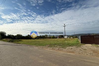 Teren de vanzare 1800 mp Dumbrava Ro?ie - 3