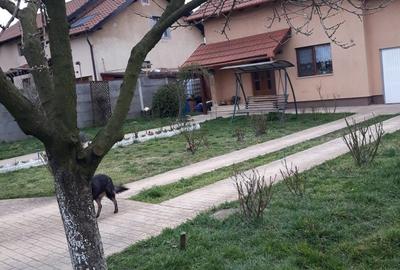 Casă cu 4 camere în Mintia - 8