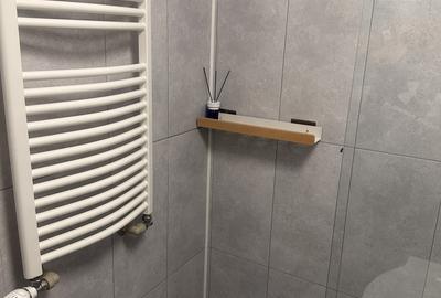 Lacul Tei, langa Facultatea de Constructii Lacul Tei, langa Facultatea de Constructii - 11