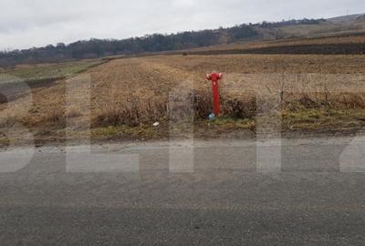 Teren de 4000 mp, în Jucu