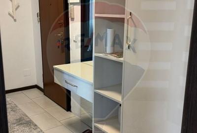 Apartament cu 3 camere decomandat, mobilat în Calea Severinului - 14