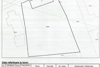 Casă cu 3 camere cu Teren 1167 Mp în Băneasa - 3