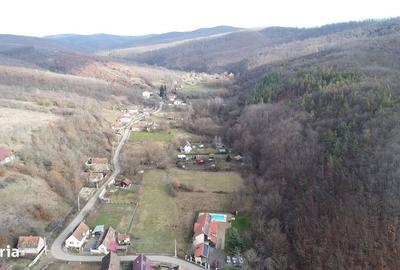 Casă cu 4 camere în Cladova - 6