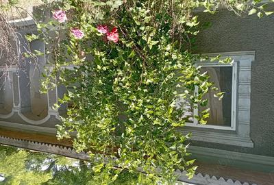 Vand casa in comuna Drago? Voda - 5