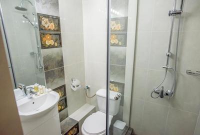 Apartament cu 3 camere decomandat, mobilat în Central - 10