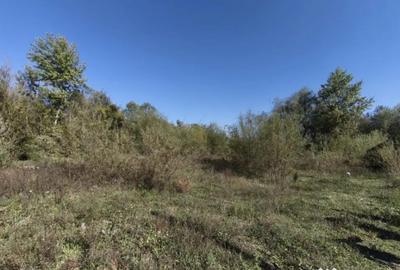 Teren de 7178 mp, în Frătăuții Vechi - 2