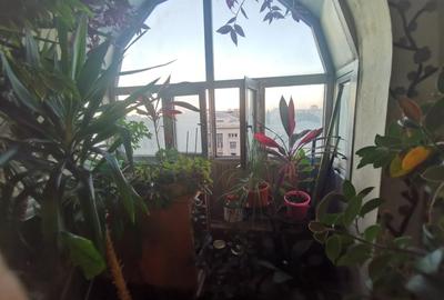 Apartament 2 Camere/Kogalniceanu/Facultatea de Drept/Risc 1 Apartament 2 Camere/Kogalniceanu/Facultatea de Drept/Risc 1 - 13