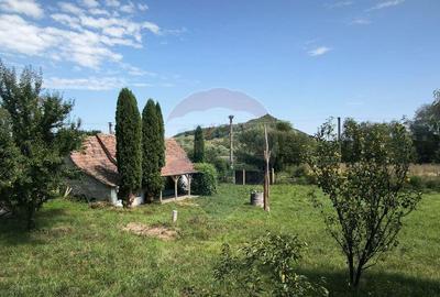 Casă cu 2 camere cu Teren 1138 Mp în Moardăș - 8