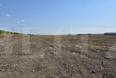 Oportunitate Investitie, Teren intravilan 15000 mp, zona Mis - 9