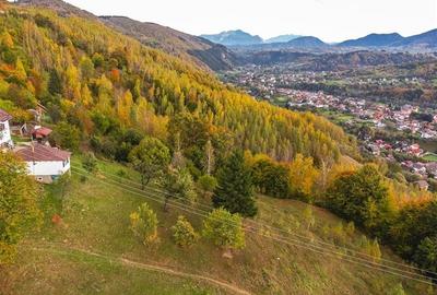 Film! Teren in peisaj mirific, Parcul Natural Piatra Craiului, Moieciu, Magura, - 7