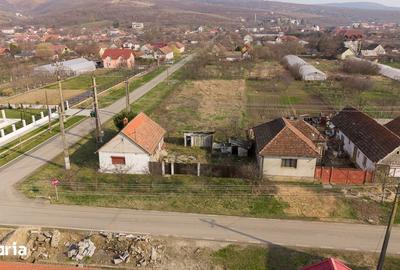 Casă cu 2 camere cu Teren 1570 Mp în Ghioroc - 5