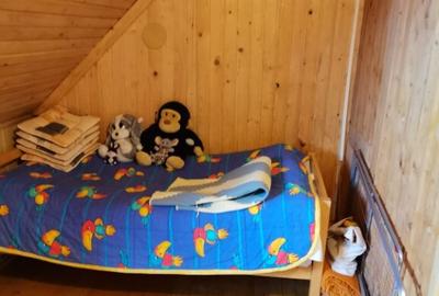 Cabana vacanta 4 dormitoare Azuga, Prahova - 12