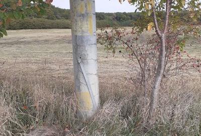 Teren intravilan inconjurat de padure - Ciofliceni, Snagov - 11