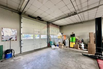 Hala 150 plus birouri Mandresti - 16