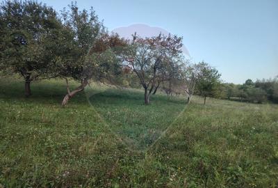 COMISION ZERO - Teren 2339 mp in Barsana - 4