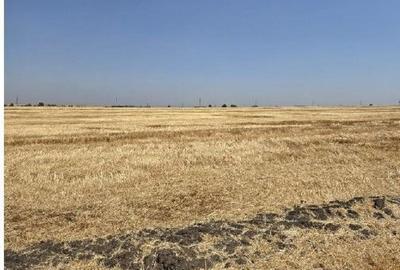 Teren de 16700 mp, în Periferie - 11