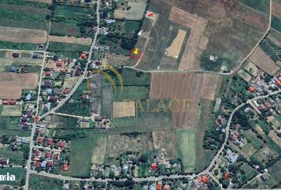 Teren de 500 mp, în Ciurea - 2