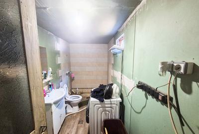 Casa , teren intravilan Urlueni Barla Arges - 29