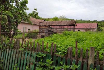 Casa cu 5 camere, 176 mp, teren 83 ari, pod betonat, 2 cladiri anexe - 5