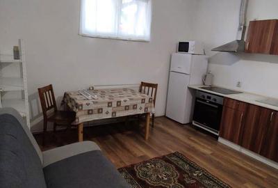 7 Noiembrie - Inchiriere apartament 1 camera - B-dul 22 Decembrie 1989 - 12