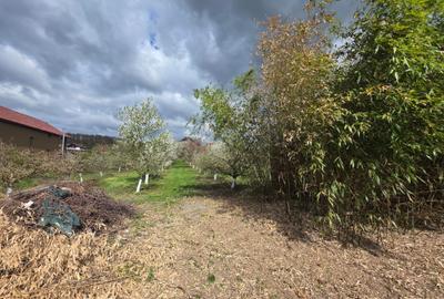 Teren intravilan de 2000 mp, în Bârsău - 3