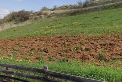 Teren de 2807 mp, în Iara - 5