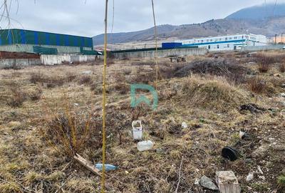 Vanzare teren intravilan, Codlea, Brasov - 3