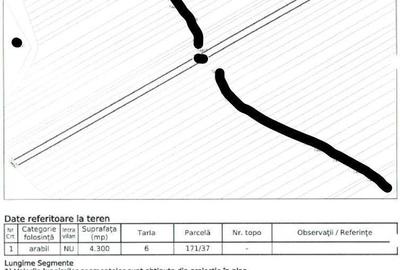 Teren de 24200 mp, în Muntenii de Jos - 9