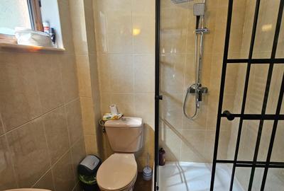 Vila Exclusivista Vetel  pe valea Caoiului-OFERTA SPECIALA DE SARBATORI! - 23