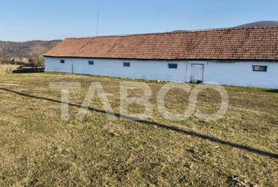 Microferma cu locuinta de vanzare in Pianu de sus - 8