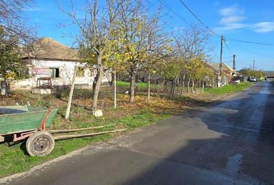 Spațiu comercial, în Ciocârlia - 6