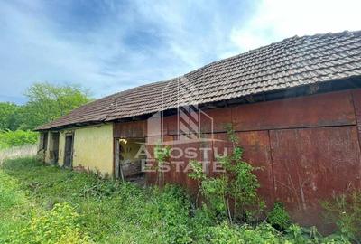 Proprietate unica in padurea de la Bazosul Nou. - 1