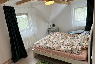 Casă individuală cu 5 camere cu Teren 3029 Mp în Drajna de Sus - 11