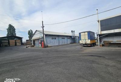 Spațiu comercial, de 5,500 mp, în Borș - 18